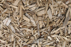 biomass boilers Slipton